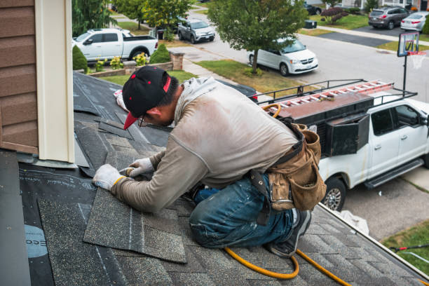 Professional Flat Roof Repair technician working in Palo, IA